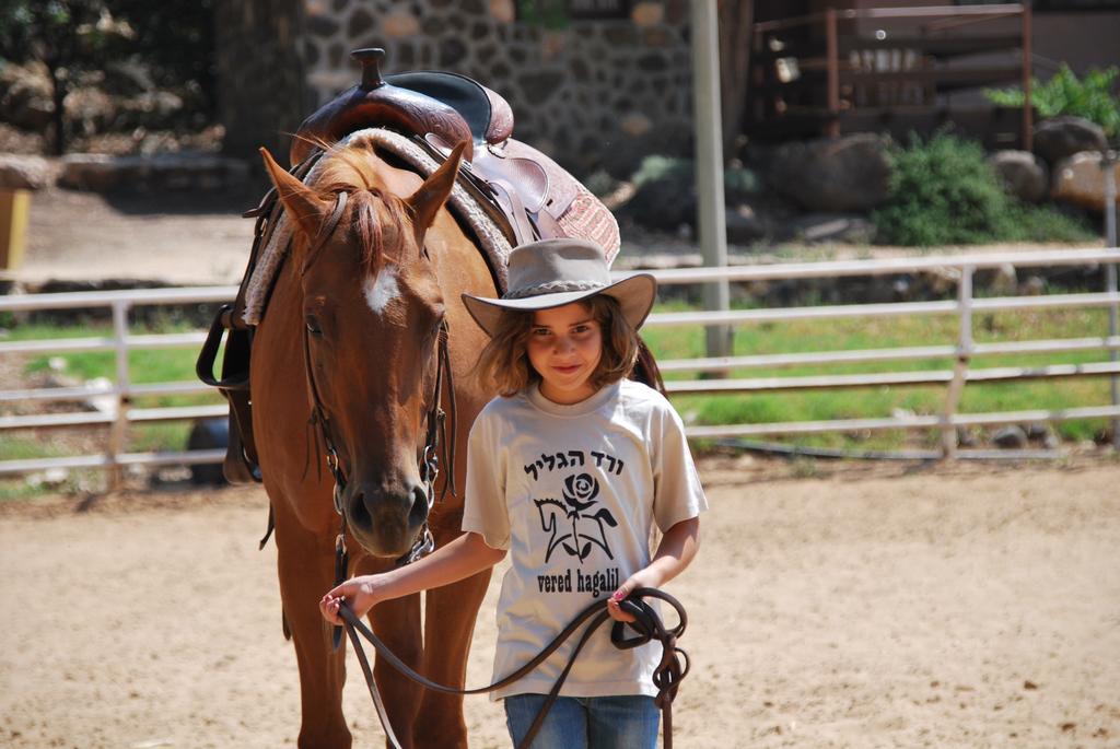 Vered Hagalil Holiday Village Hotel Chorazim Εξωτερικό φωτογραφία