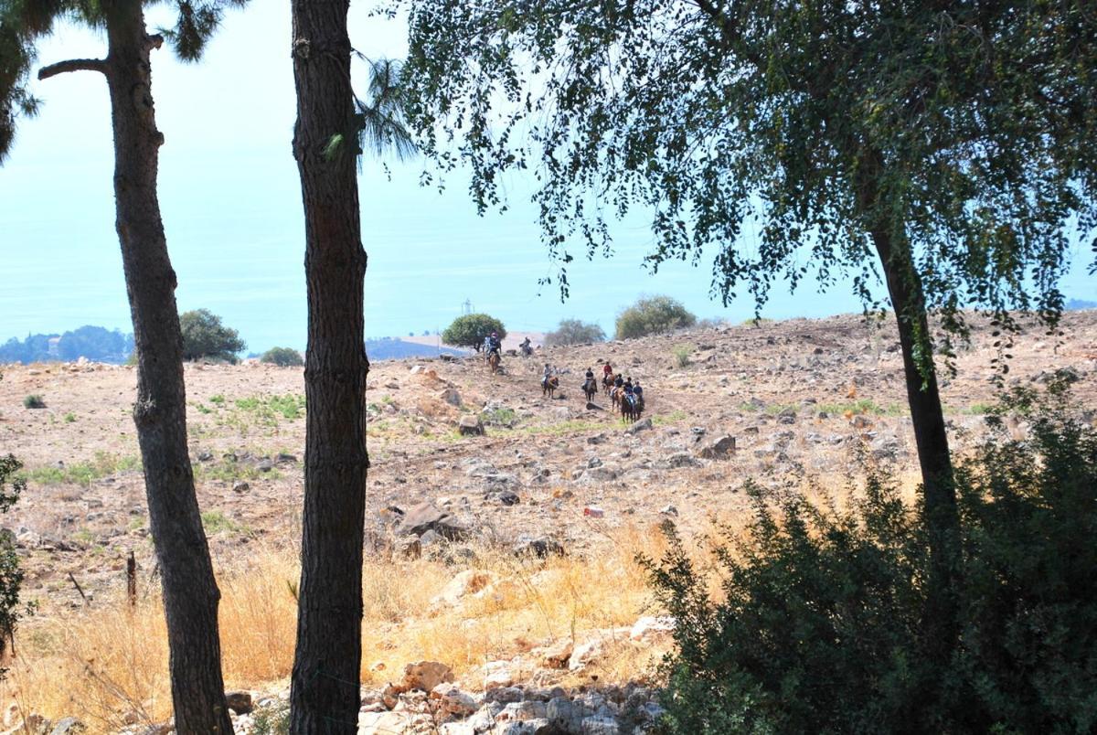 Vered Hagalil Holiday Village Hotel Chorazim Εξωτερικό φωτογραφία