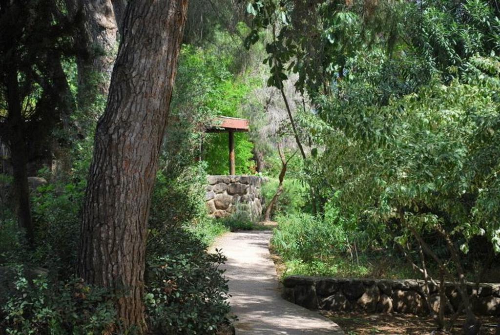 Vered Hagalil Holiday Village Hotel Chorazim Εξωτερικό φωτογραφία